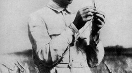 Timeline: Cinque Sweeting - 3rd