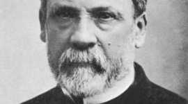 Timeline: Odette Alvarez Peroid 4