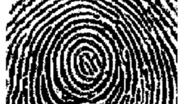 Timeline: Forensics History