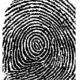 Forensics