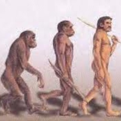 Timeline: Illustrated Timeline of Early Humans By: Noah Rakestraw