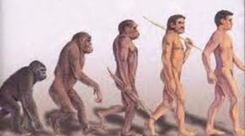 Timeline: Illustrated Timeline of Early Humans By: Noah Rakestraw