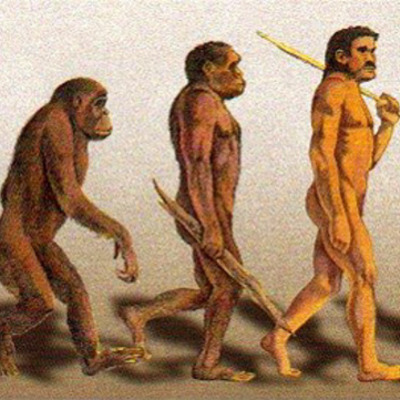Timeline: Illustrated timeline of Early Humans