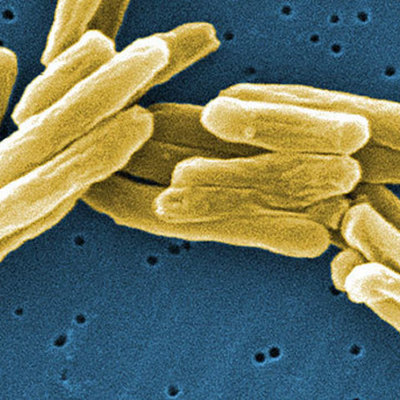 Timeline: Основные события в генетике