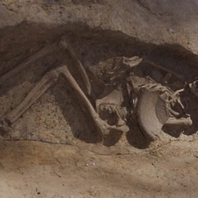 Timeline: Early Hominids