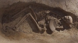 Timeline: Early Hominids