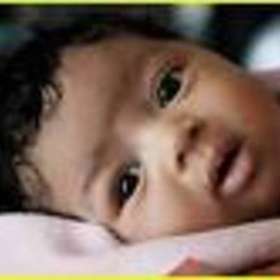 Timeline: sunshine gardener