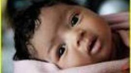 Timeline: sunshine gardener