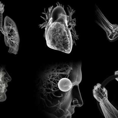 Timeline: Важнейшие открытия биологии