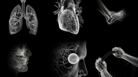 Timeline: Важнейшие открытия биологии