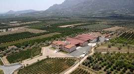 Timeline: Argos, Greece