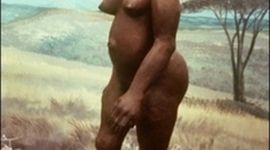 Timeline: Illustrated Timeline of Early Humans