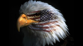 Timeline: Foundation of the United States