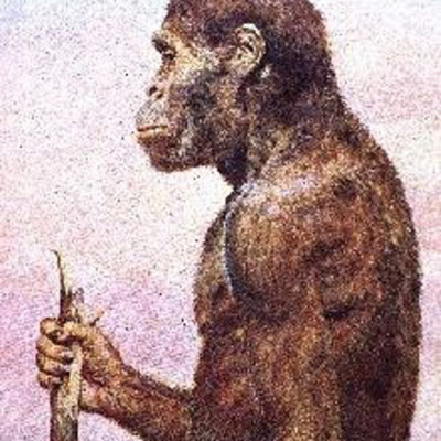 Timeline: Early Hominids