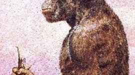 Timeline: Early Hominids