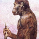 Australopithecus