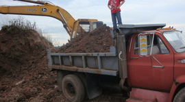 Timeline: It's My Life-Timeline Assignment