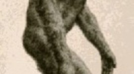 Timeline: EARLY HUMANS