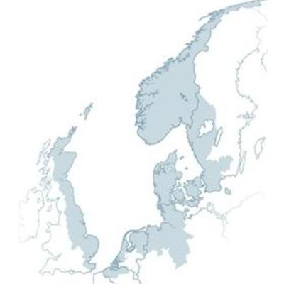 Timeline: Translation of work breakdown structure