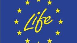 Timeline: Growing Up