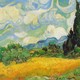 Van gogh wheat field with cypresses