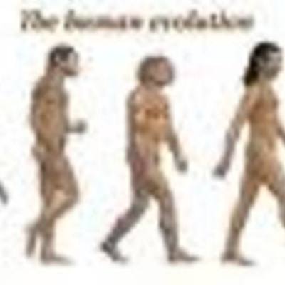 Timeline: ILLUSTRATED TIMELINE OF EARLY HUMANS