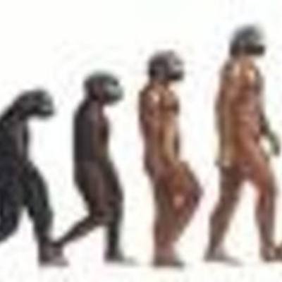 Timeline: Early Hominids