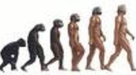 Timeline: Early Hominids
