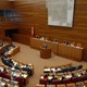 Tribunalconstitucional