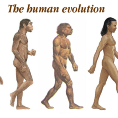 Timeline: Timeline of Early Humans