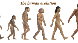 Timeline: Timeline of Early Humans