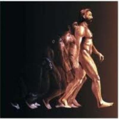 Timeline: Illustrated Timeline of Early Humans