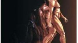 Timeline: Illustrated Timeline of Early Humans