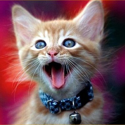 Timeline: k@+!ez timtoast