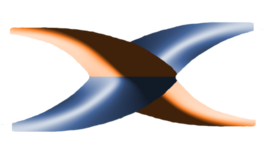 Timeline: Yang Zutal Timeline