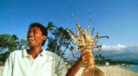 Timeline: Pesqueria de Langosta en Centroamérica