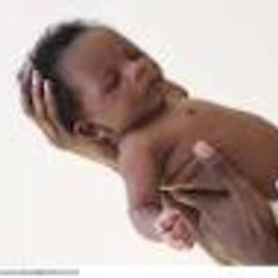 Timeline: JOHN DOE'S LIFESPAN DEVELOPMENT