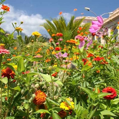 Timeline: La frise historique des jardins