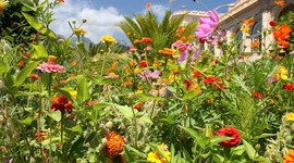 Timeline: La frise historique des jardins