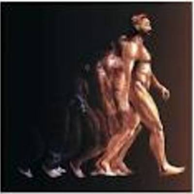 Timeline: Early Humans