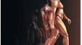 Timeline: Early Humans