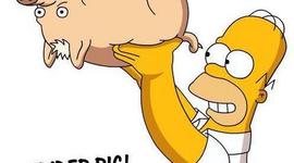 Timeline: The Simpsons Highlights