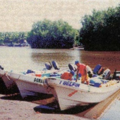 Timeline: Pesca de Tiburon Pacifico de Guatemala.