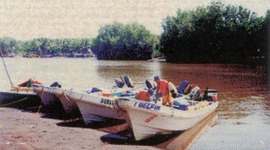 Timeline: Pesca de Tiburon Pacifico de Guatemala.