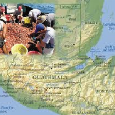 Timeline: Pesca de camarón en el Océano Pacífico de Guatemala