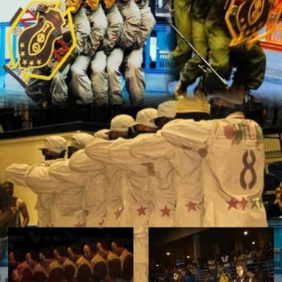 Timeline: The Evolvement