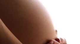 Timeline: Fetal Development