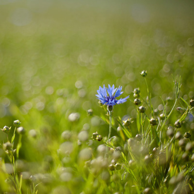 Timeline: Evolución de las TIC en mi familia.