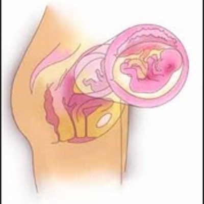 Timeline: prenatel frist month   ALEX SAMS!