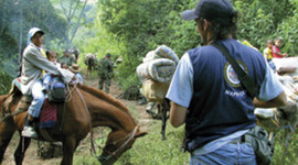 Timeline: Misiones de Apoyo a Procesos de Paz y Consolidación Democrática